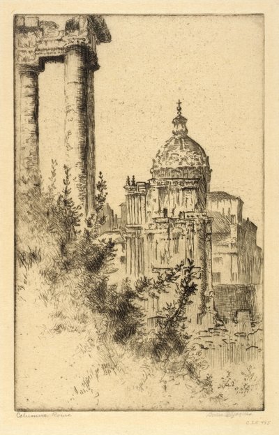 Søjler, Forum Romanum af Bertha E. Jaques