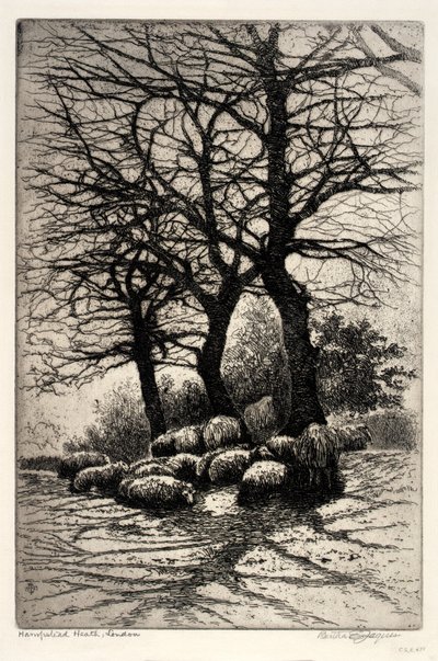 Hampstead Heath, London af Bertha E. Jaques