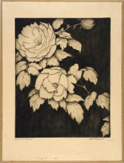 Japanske pæoner af Bertha E. Jaques