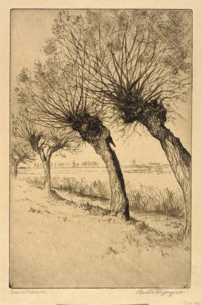 Pollard Willows, Rijsord, Holland af Bertha E. Jaques