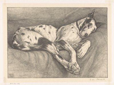 sovende hund af Bertha van Hasselt (signed by artist)