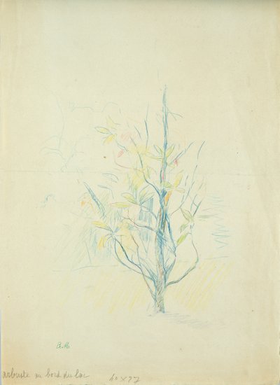 Buske ved søen, 1893 (farvet blyant på papir) af Berthe Morisot