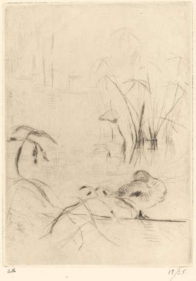 Ænder i hvile på bredden, 18881890. af Berthe Morisot