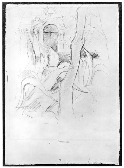 The Aloe at Villa Ratti, 1889 (grafit på papir) af Berthe Morisot