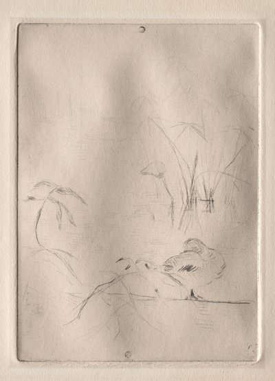 Anden af Berthe Morisot