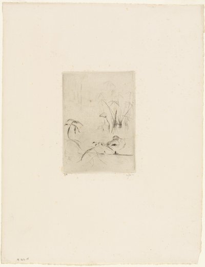 Anden af Berthe Morisot