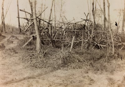 Album af Første Verdenskrig i Friuli-Venezia Giulia: defensiv hindring (frisiske heste), 05/1916 (s/h foto) af Bertoni Bertoni