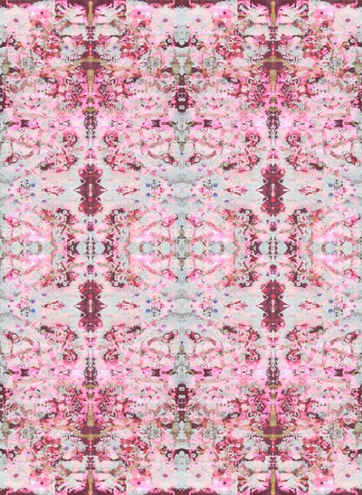 Burgandy Rose, 2015 (blandede medier, illustration, digital) af Beth Travers