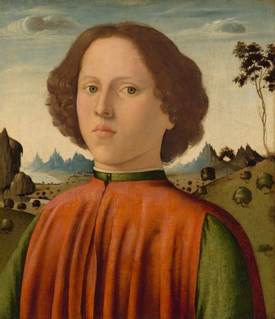 Portræt af en dreng, ca. 14761480. af Biagio d
