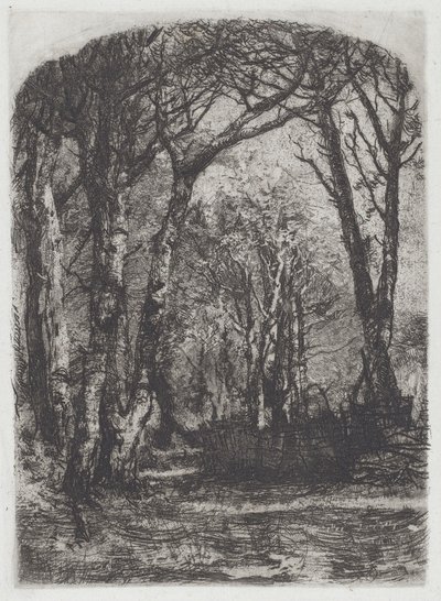 Woods [Bosco], ca. 1895. af Bianchi Mose