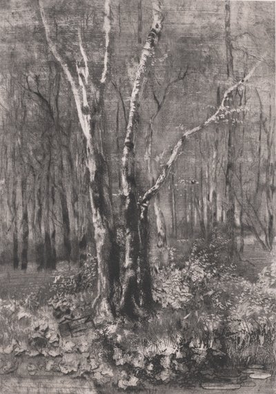 Skove i parken nær Monza, 1895. af Bianchi Mose