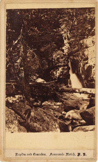 Rapids and Cascades, Franconia Notch, New Hampshire af Bierstadt Brothers