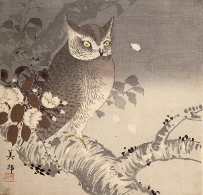 En ugle på en gren af Biho Takashi or Takahashi (b. 1873. fl 1890 1930)