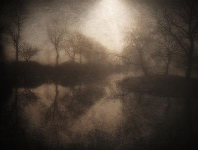 Refleksion i den tågede skov af Bill Eiffert