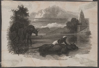Landmænd bærer dødt kvæg, ca. 1850 (stik) af Blasius Höfel