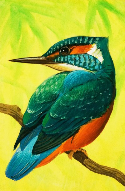 Kingfisher. af Bob Hersey