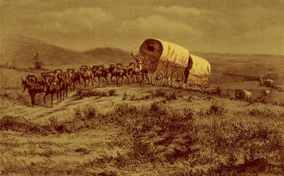 Wild West - muldyrtog på vej mod vest af Bohuslav Kroupa