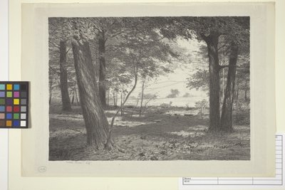 Edge Of The Woods (blæk på papir) af Bolton Coit Brown