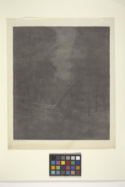 Moonlight Woods (blæk på papir) af Bolton Coit Brown
