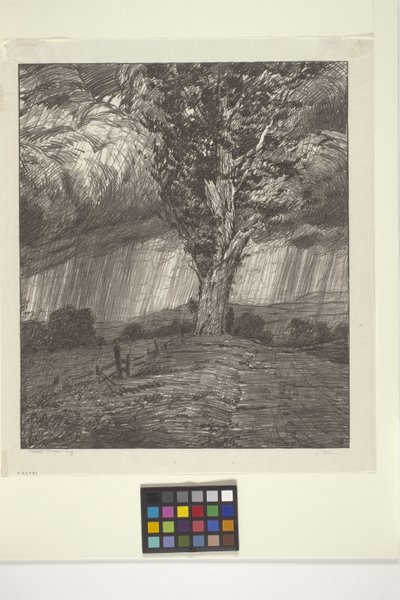 Storm (blæk på papir) af Bolton Coit Brown
