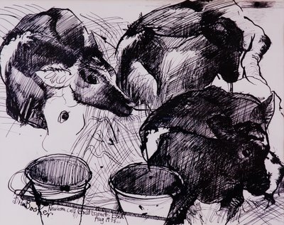 Kalve, fugtige, nyfødte, 1978 af Brenda Brin Booker