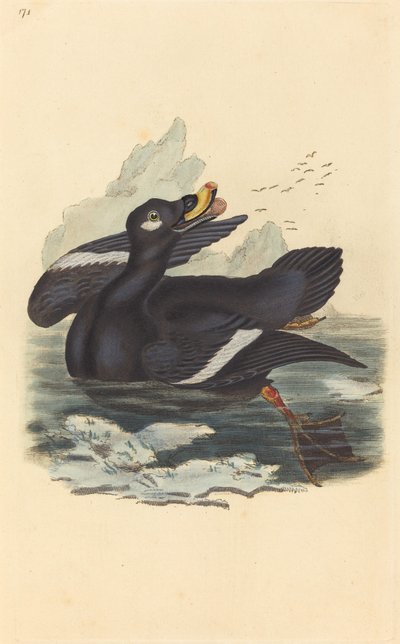 Fløjlsand af British 19th Century