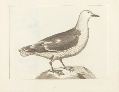 Vandfugle af British 19th Century