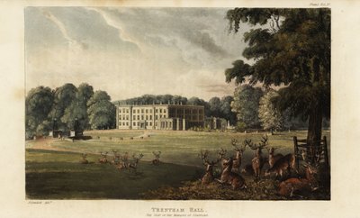 Flok hjorte foran Trentham Hall af British School