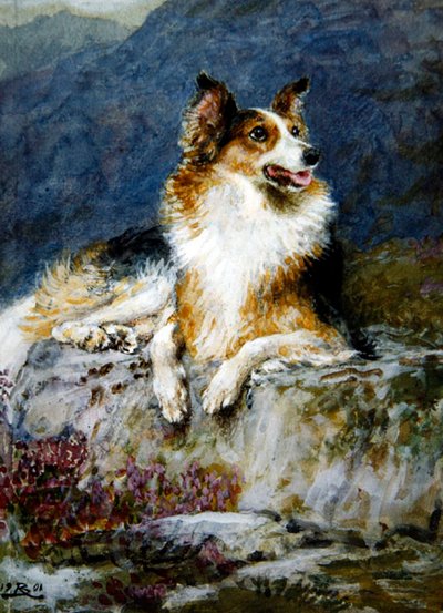Collie i et landskab af Briton Riviere