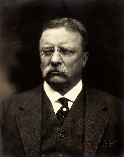 Theodore Roosevelt, ca. 1915 (s/h-foto) af Brothers Pach