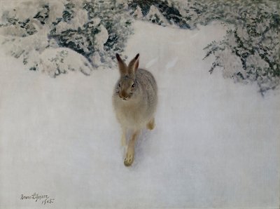Hare om vinteren af Bruno Andreas Liljefors