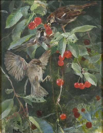 Spurve i et kirsebærtræ, 1885 af Bruno Andreas Liljefors