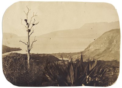 Lake and Mount Tarawera fra Te Wairoa, 1860 (albumin print) af Bruno Hamel