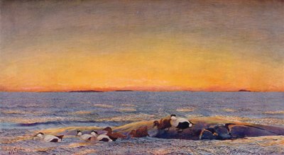 Solopgang, 1896 af Bruno Andreas Liljefors