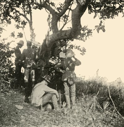 Træ, hvorfra kaptajn Paget...så...San Juan-slaget, spansk-amerikansk krig, juni 1898, 1899. af Burr McIntosh