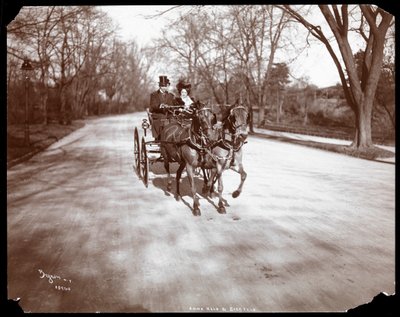 Anna Held og Florenz Ziegfeld kører hestevogn, New York, 1904 (sølv gelatinetryk) af Byron Company