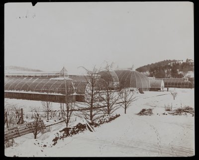 Drivhusene i sneen på Helen Gould-ejendommen (sen Jay Gould-residens) i Tarrytown, New York, 1894 (sølv gelatinetryk) af Byron Company
