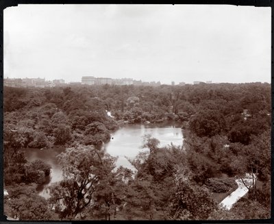 Udsigt over Central Park fra Plaza Hotel, 5th Avenue og 59th Street, New York, 1907 (sølv gelatinetryk) af Byron Company