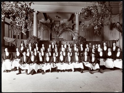 Tjenere på Hotel Delmonico, 1902 (sølvgelatineprint) af Byron Company