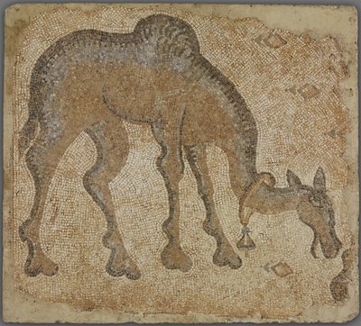 Mosaikfragment med græssende kamel af Byzantine