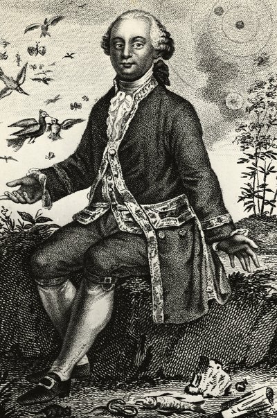 Portræt af Georges-Louis Leclerc de Buffon (1707-1788), fransk naturforsker og matematiker, gravering af J.B. and Brown J. Rowbotham