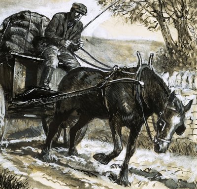 Hestene var underernærede og overbebyrdede af C.L. Doughty
