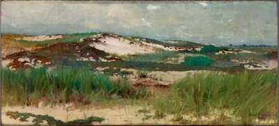 Nantucket sandklit af C. Morgan McIlhenney