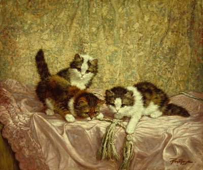 Playful Kittens (olie på lærred) af C. Raaphorst
