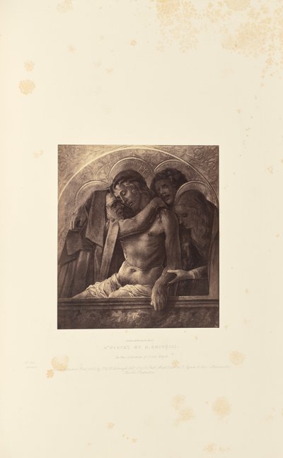 En "Pieta" af C. Crivelli af Caldesi and Montecchi