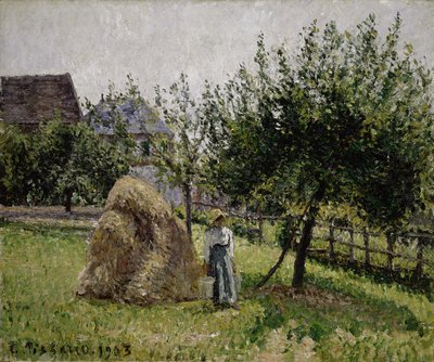 Æbletræer i Eragny, solrig morgen, 1903 af Camille Jacob Pissarro