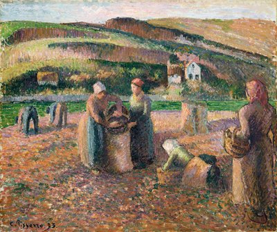 Plukke kartofler, 1893 af Camille Jacob Pissarro