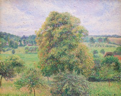 Stort valnøddetræ ved Eragny af Camille Pissarro