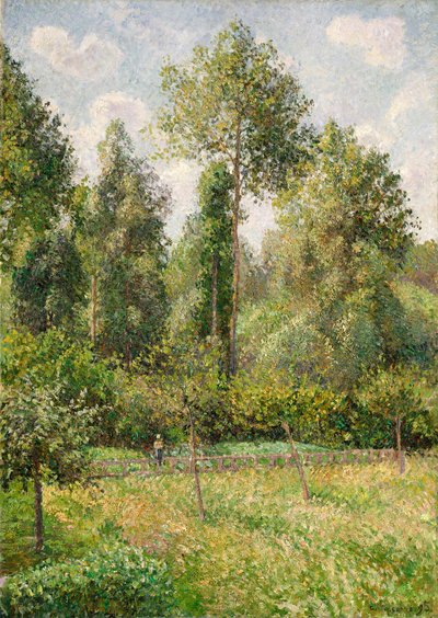 Popler, Éragny, 1895. af Camille Jacob Pissarro
