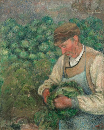 Gartneren - Gammel Bonde med Kål af Camille Pissarro